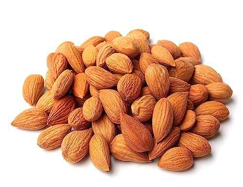 Bitter Apricot Kernels - 16 oz - 100% Natural Raw Seeds