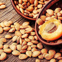 BITTER Apricot Kernels 16 oz, 100% Natural Whole Raw Apricot Seeds, Sun Dried, Gourmet Ingredients, Kosher, Vegan, Gluten Free, Spices and Seasonings for Cooking, Large Size Bulk in Resealable Bag