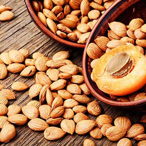 Anna and Sarah Natural Sweet Apricot Seeds